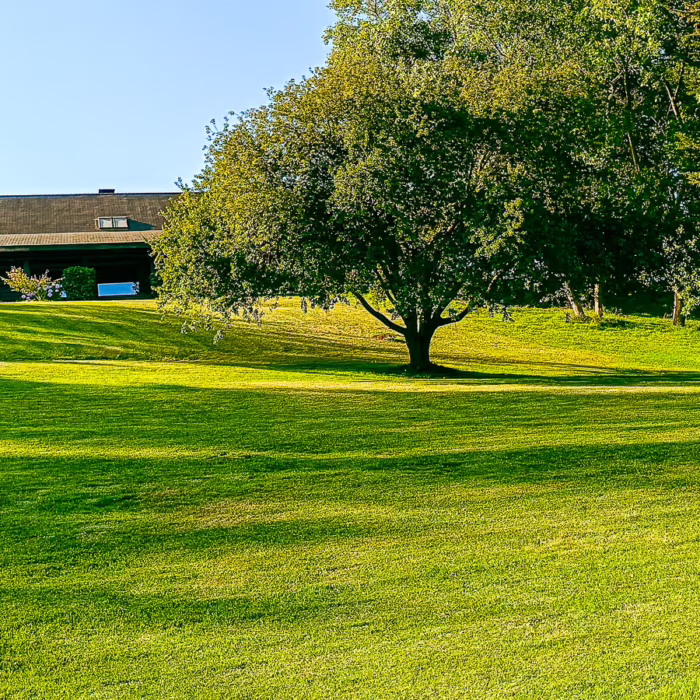 Sitio Polo Maitencillo
